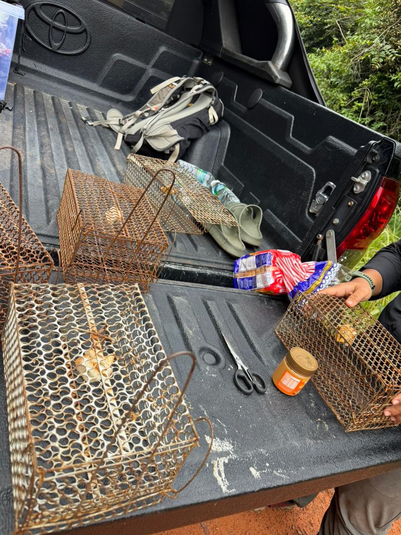 Wildlife survey traps and field equipment arranged on a pickup truck
