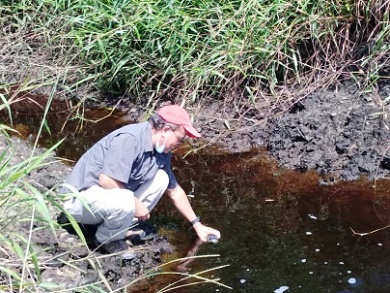 Environmental consultant collecting a water sample from a stream